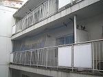 ベランダ施工前（重度の鳩害）