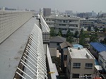 屋上の剣山器具施工