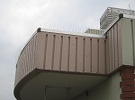 屋上の剣山器具設置