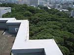 屋上の防鳥ワイヤー施工