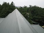 屋根の防鳥ワイヤー施工