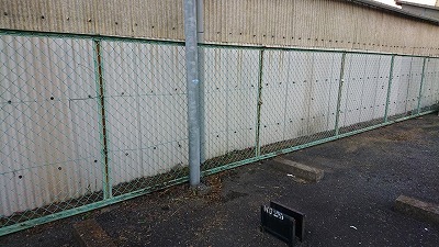 草刈り後